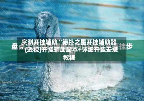 实测开挂辅助“德扑之星开挂辅助器”(透视)开挂辅助脚本+详细开挂安装教程-第2张图片