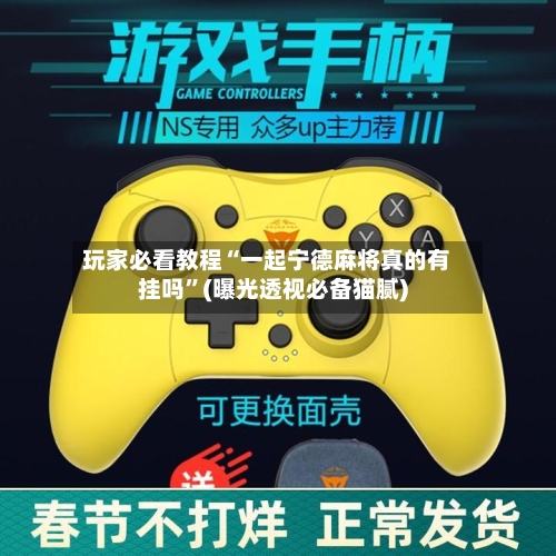 玩家必看教程“一起宁德麻将真的有挂吗	”(曝光透视必备猫腻)-第2张图片