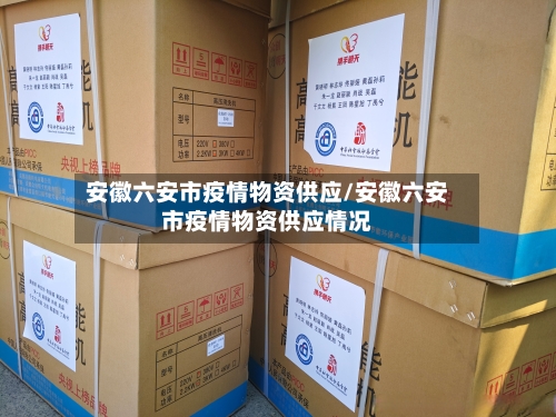 安徽六安市疫情物资供应/安徽六安市疫情物资供应情况-第3张图片