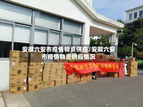 安徽六安市疫情物资供应/安徽六安市疫情物资供应情况-第1张图片
