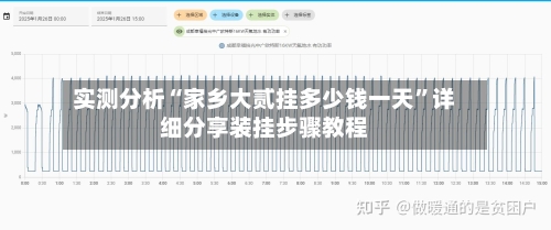 实测分析“家乡大贰挂多少钱一天”详细分享装挂步骤教程-第2张图片