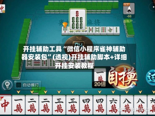 开挂辅助工具“微信小程序雀神辅助器安装包”(透视)开挂辅助脚本+详细开挂安装教程-第2张图片