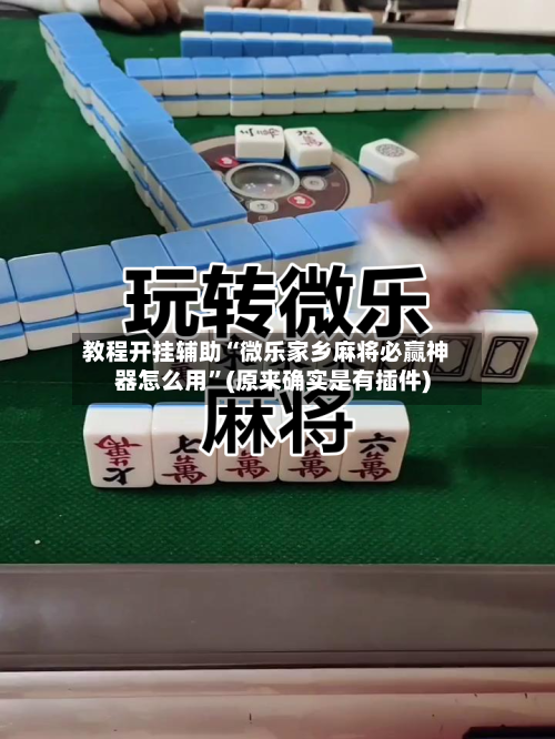 教程开挂辅助“微乐家乡麻将必赢神器怎么用”(原来确实是有插件)-第3张图片