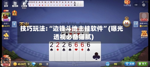 技巧玩法:“边锋斗地主挂软件”(曝光透视必备猫腻)-第1张图片