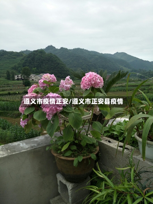 遵义市疫情正安/遵义市正安县疫情-第2张图片