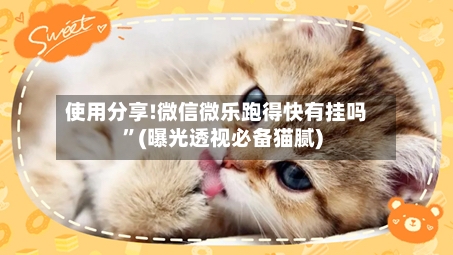 使用分享!微信微乐跑得快有挂吗	”(曝光透视必备猫腻)-第2张图片