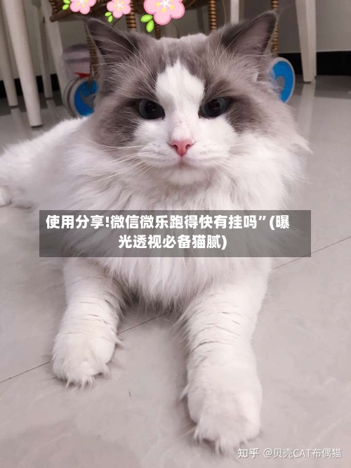 使用分享!微信微乐跑得快有挂吗”(曝光透视必备猫腻)-第3张图片