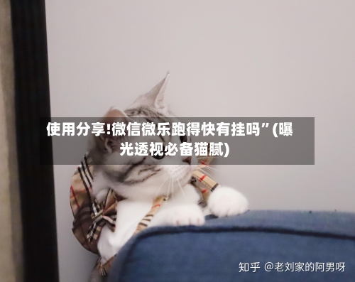 使用分享!微信微乐跑得快有挂吗”(曝光透视必备猫腻)-第1张图片