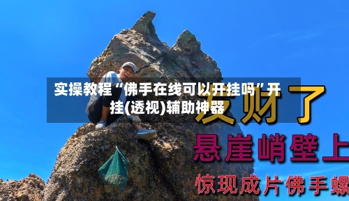 实操教程“佛手在线可以开挂吗”开挂(透视)辅助神器-第2张图片