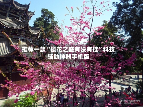 推荐一款“樱花之盛有没有挂”科技辅助神器手机版-第3张图片
