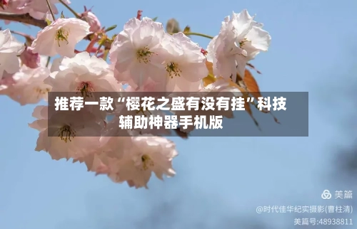 推荐一款“樱花之盛有没有挂”科技辅助神器手机版-第2张图片