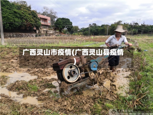 广西灵山市疫情(广西灵山县疫情)-第1张图片