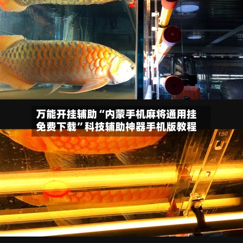 万能开挂辅助“内蒙手机麻将通用挂免费下载”科技辅助神器手机版教程-第1张图片