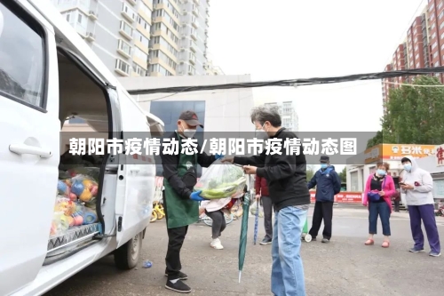 朝阳市疫情动态/朝阳市疫情动态图-第2张图片