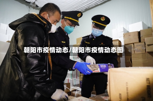 朝阳市疫情动态/朝阳市疫情动态图-第3张图片