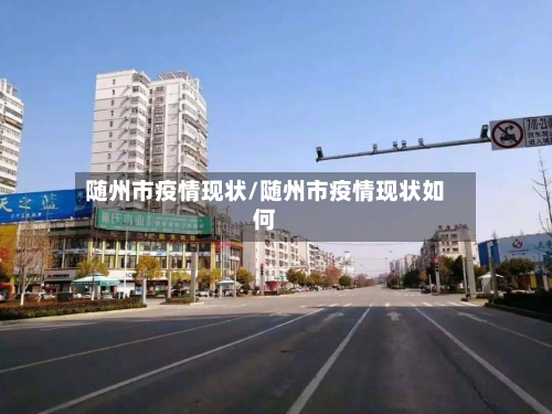 随州市疫情现状/随州市疫情现状如何-第3张图片