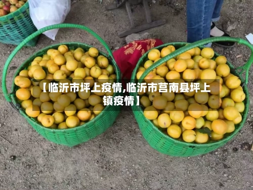 【临沂市坪上疫情,临沂市莒南县坪上镇疫情】-第2张图片