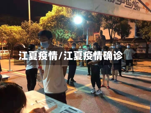 江夏疫情/江夏疫情确诊-第1张图片