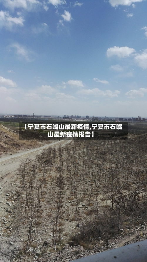 【宁夏市石嘴山最新疫情,宁夏市石嘴山最新疫情报告】-第1张图片