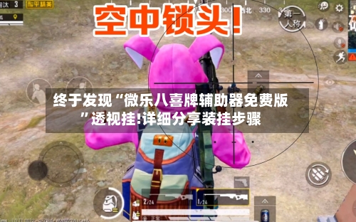 终于发现“微乐八喜牌辅助器免费版”透视挂!详细分享装挂步骤-第2张图片
