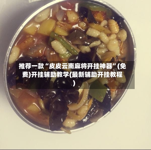 推荐一款“皮皮云南麻将开挂神器	”(免费)开挂辅助教学(最新辅助开挂教程)-第2张图片