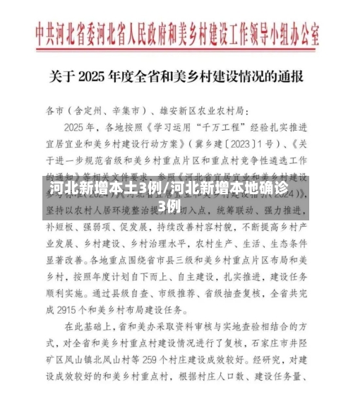 河北新增本土3例/河北新增本地确诊3例-第2张图片