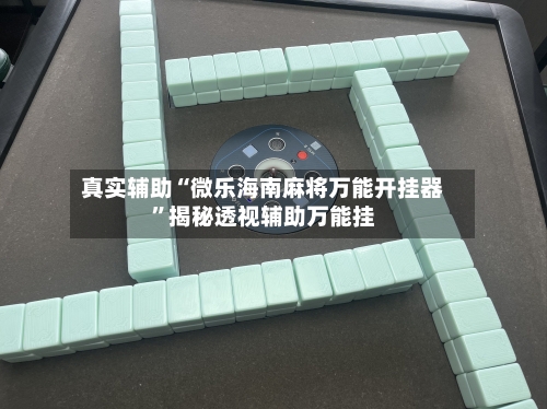 真实辅助“微乐海南麻将万能开挂器”揭秘透视辅助万能挂-第2张图片
