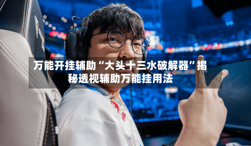 万能开挂辅助“大头十三水破解器”揭秘透视辅助万能挂用法-第3张图片