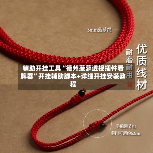 辅助开挂工具“德州菠萝透视插件看牌器”开挂辅助脚本+详细开挂安装教程-第3张图片