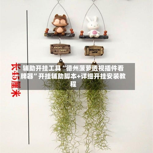 辅助开挂工具“德州菠萝透视插件看牌器”开挂辅助脚本+详细开挂安装教程-第2张图片