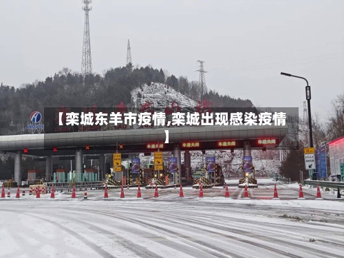【栾城东羊市疫情,栾城出现感染疫情】-第2张图片