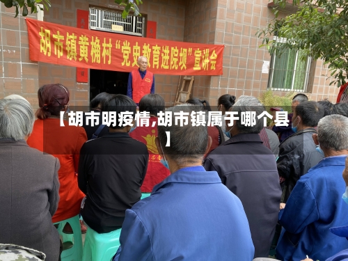 【胡市明疫情,胡市镇属于哪个县】-第3张图片
