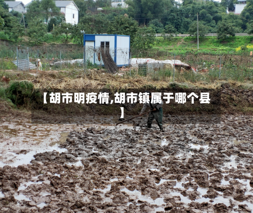 【胡市明疫情,胡市镇属于哪个县】-第2张图片