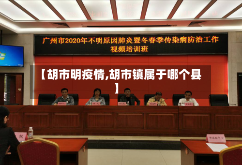 【胡市明疫情,胡市镇属于哪个县】-第1张图片