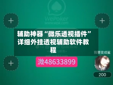 辅助神器“微乐透视插件	”详细外挂透视辅助软件教程-第1张图片