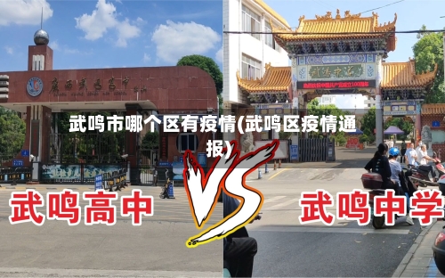 武鸣市哪个区有疫情(武鸣区疫情通报)-第1张图片