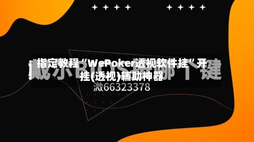 指定教程“WePoker透视软件挂”开挂(透视)辅助神器-第3张图片