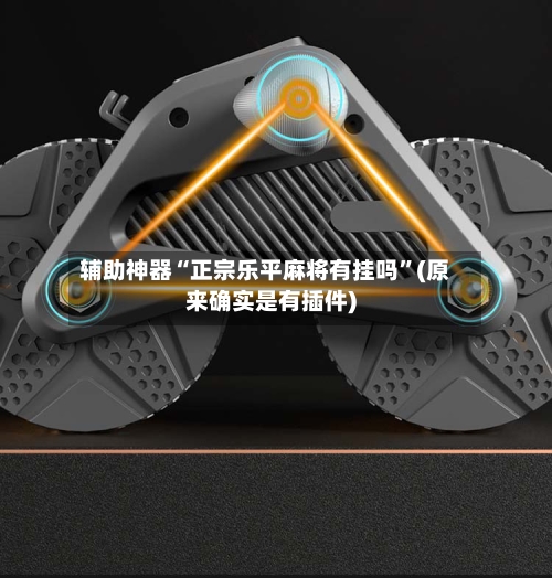 辅助神器“正宗乐平麻将有挂吗”(原来确实是有插件)-第2张图片