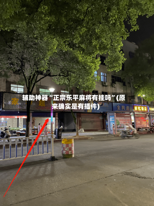辅助神器“正宗乐平麻将有挂吗	”(原来确实是有插件)-第3张图片