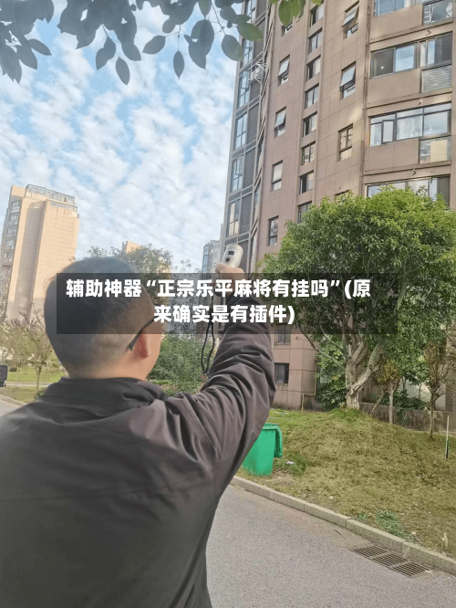 辅助神器“正宗乐平麻将有挂吗”(原来确实是有插件)-第1张图片