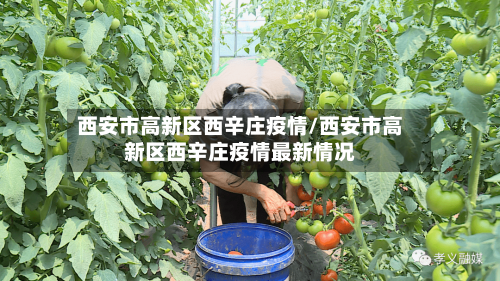 西安市高新区西辛庄疫情/西安市高新区西辛庄疫情最新情况-第1张图片