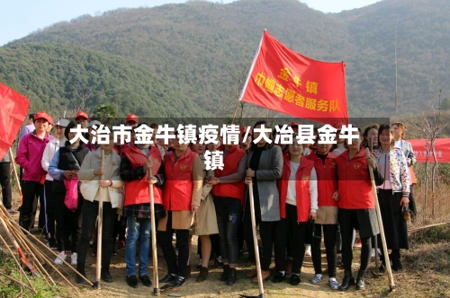 大治市金牛镇疫情/大冶县金牛镇-第2张图片