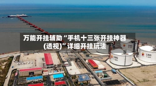 万能开挂辅助“手机十三张开挂神器(透视)”详细开挂玩法-第2张图片