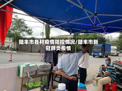 陆丰市各村疫情防控情况/陆丰市新冠肺炎疫情-第3张图片