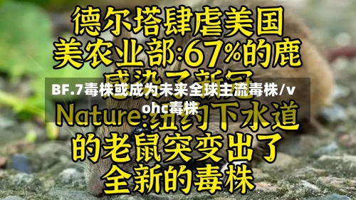 BF.7毒株或成为未来全球主流毒株/vohc毒株-第3张图片