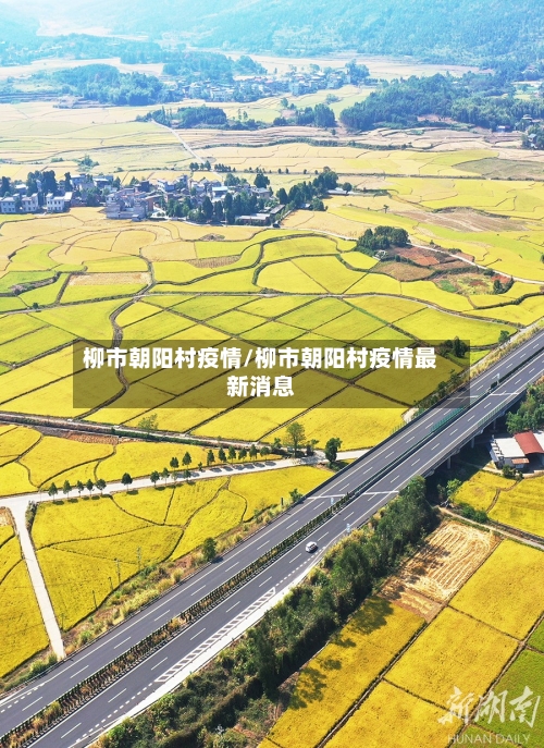 柳市朝阳村疫情/柳市朝阳村疫情最新消息-第1张图片