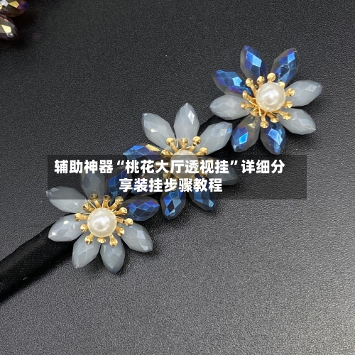 辅助神器“桃花大厅透视挂”详细分享装挂步骤教程-第1张图片