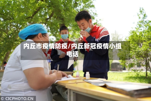 内丘市疫情防疫/内丘新冠疫情小组电话-第1张图片