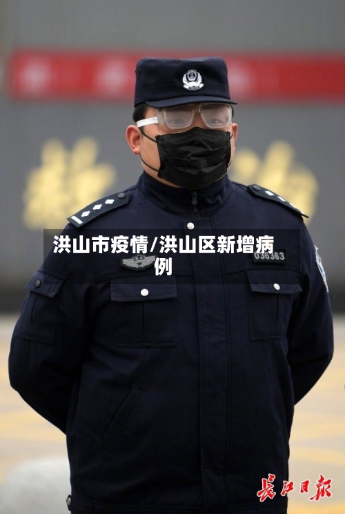 洪山市疫情/洪山区新增病例-第1张图片