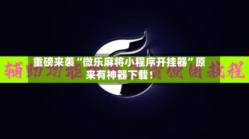 重磅来袭“微乐麻将小程序开挂器”原来有神器下载！-第3张图片